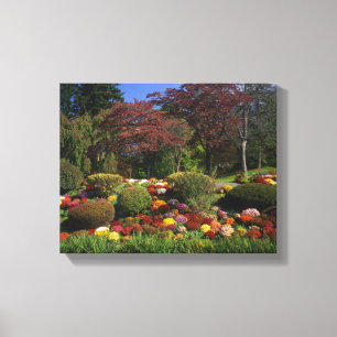 USA, New York, Saugerties, Seamon Park. Autumn Canvas Print