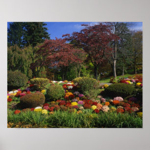 USA, New York, Saugerties, Seamon Park. Autumn Poster