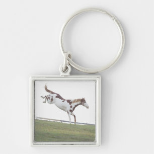 USA, New York State, Hudson, Horse jumping in Keychain