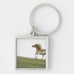 USA, New York State, Hudson, Horse running in 2 Keychain