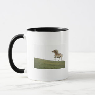 USA, New York State, Hudson, Horse running in 2 Mug