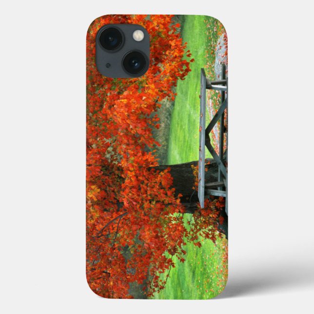 USA, New York, West Park. Bench Under Maple Case-Mate iPhone Case (Back)