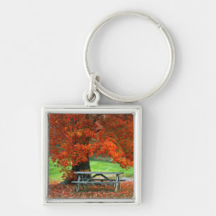 USA, New York, West Park. Bench Under Maple Keychain