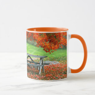 USA, New York, West Park. Bench Under Maple Mug
