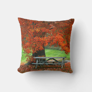 USA, New York, West Park. Bench Under Maple Throw Pillow