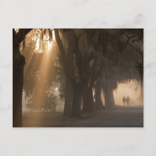 USA; North America; Georgia; Savannah. Boys Postcard