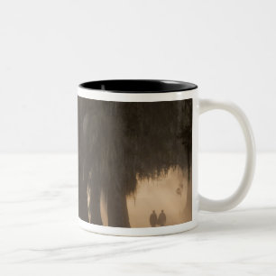 USA; North America; Georgia; Savannah. Boys Two-Tone Coffee Mug