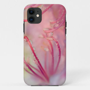 USA, North Carolina. Catawba rhododendron with iPhone 11 Case