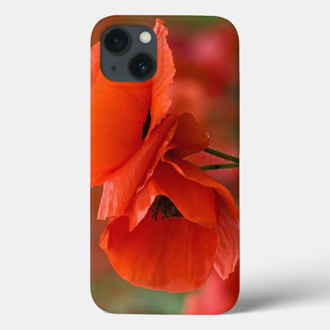 USA, North Carolina. Close-up of poppy Case-Mate iPhone Case (Back)