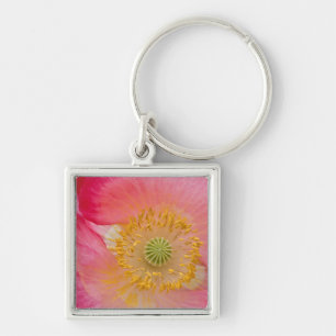 USA, North Carolina. Close-up of poppy interior Keychain