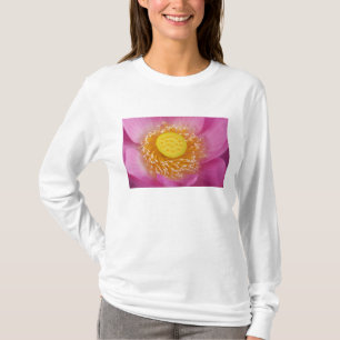USA; North Carolina; Lotus blooming in the T-Shirt