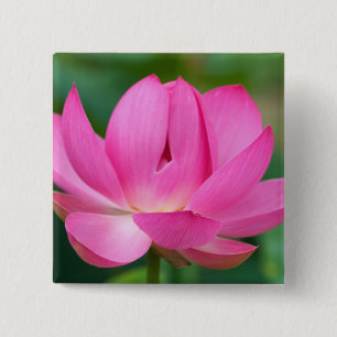 USA; North Carolina; Lotus blossom 2 Inch Square Button
