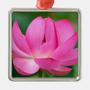 USA; North Carolina; Lotus blossom Metal Ornament