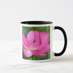 USA; North Carolina; Lotus blossom Mug