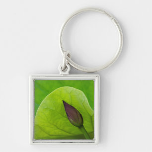 USA; North Carolina; Lotus leaf and bud Keychain