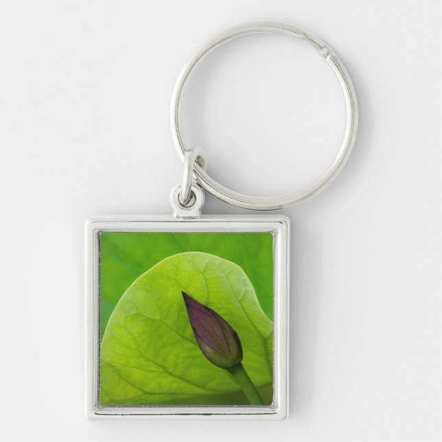 USA; North Carolina; Lotus leaf and bud Keychain (Front)