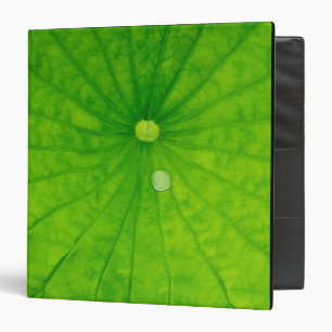 USA; North Carolina; Lotus leaf with dew drop Binder