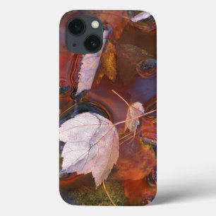 USA, Northeast, Fall leaves in puddle with iPhone 13 Case