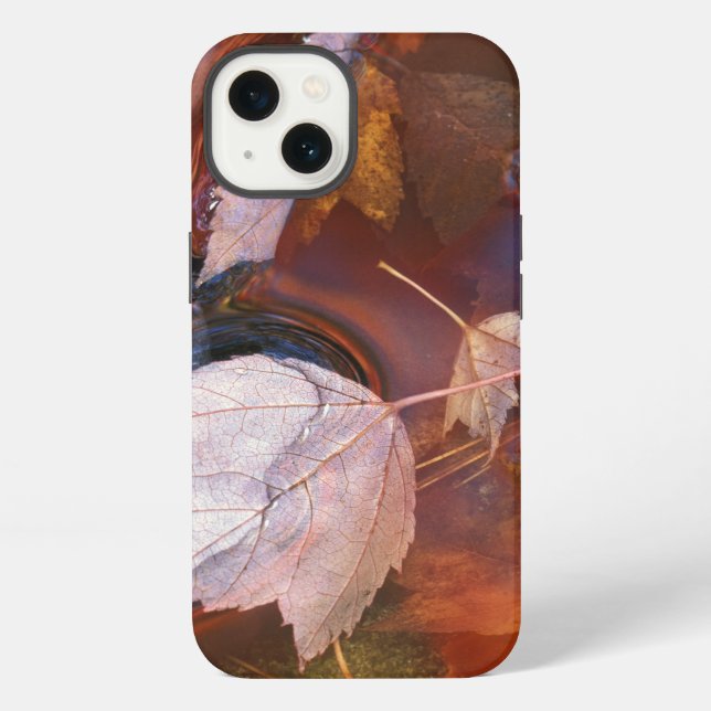 USA, Northeast, Fall leaves in puddle with iPhone Case (Back)