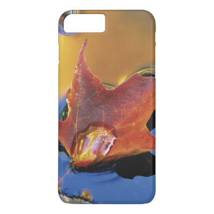USA, Northeast, Maple Leaf in Reflection Case-Mate iPhone Case