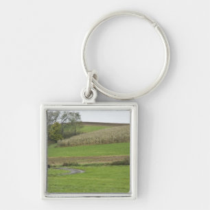 USA, Northeastern Ohio. Amish buggy on farm Keychain