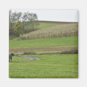USA, Northeastern Ohio. Amish buggy on farm Magnet