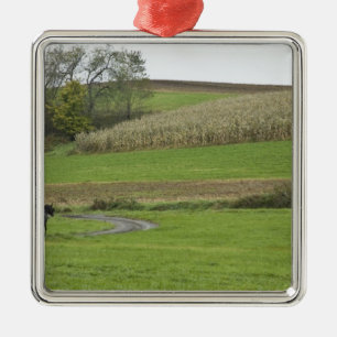 USA, Northeastern Ohio. Amish buggy on farm Metal Ornament