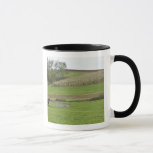 USA, Northeastern Ohio. Amish buggy on farm Mug