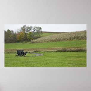 USA, Northeastern Ohio. Amish buggy on farm Poster