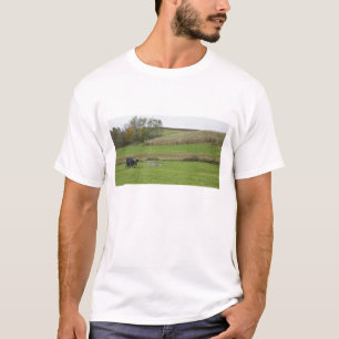 USA, Northeastern Ohio. Amish buggy on farm T-Shirt