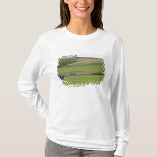 USA, Northeastern Ohio. Amish buggy on farm T-Shirt