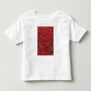 USA, Ohio, Cincinnati. Bed of red tulips Toddler T-shirt