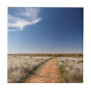USA, Oklahoma, Black Kettle National Grasslands Tile