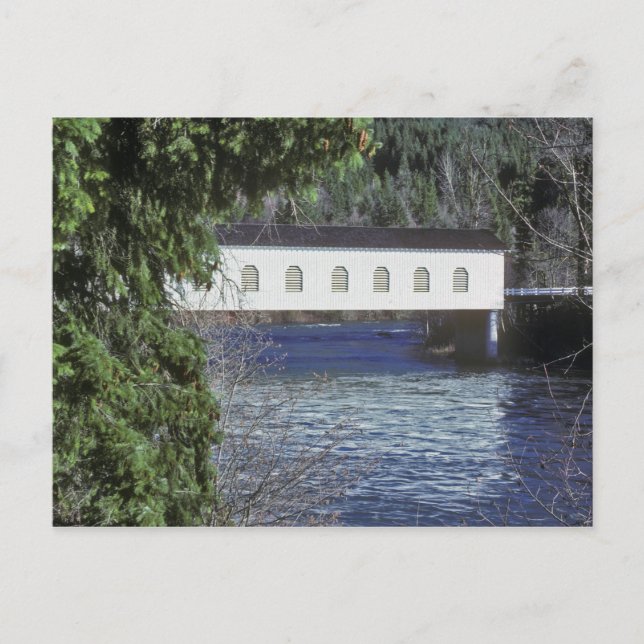 USA, Oregon. A pick-up crossing the Postcard (Front)