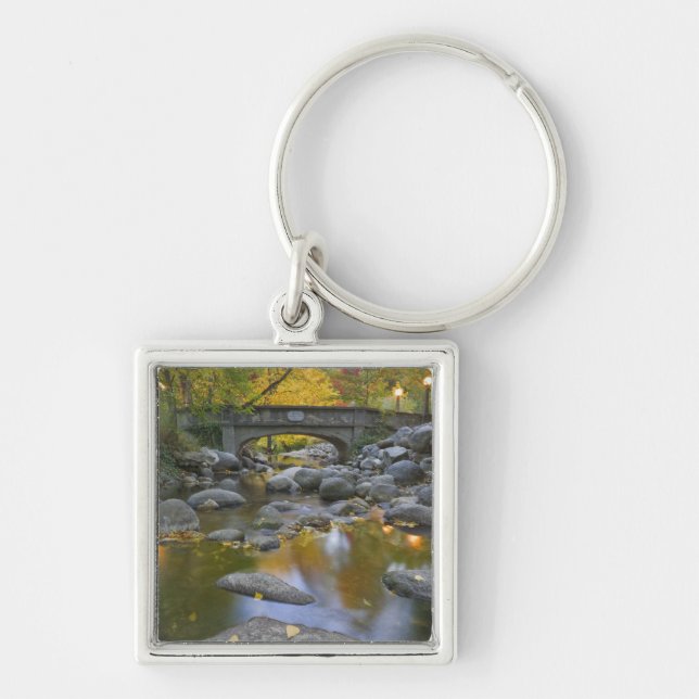 USA, Oregon, Ashland, Lithia Park. Autumn Keychain (Front)