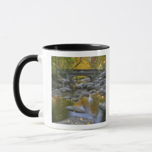 USA, Oregon, Ashland, Lithia Park. Autumn Mug