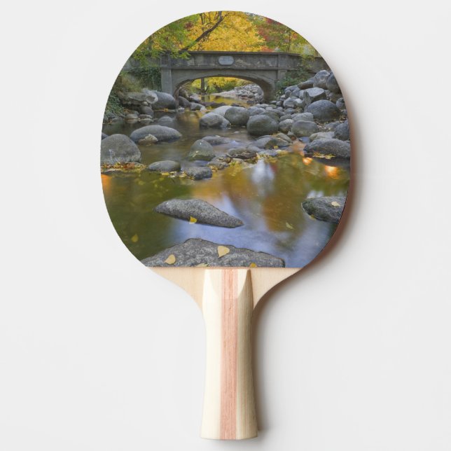 USA, Oregon, Ashland, Lithia Park. Autumn Ping Pong Paddle (Front)