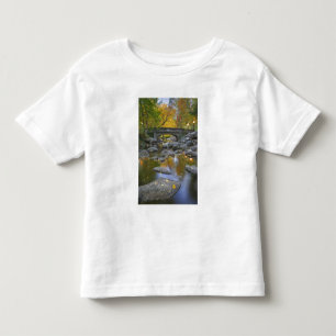 USA, Oregon, Ashland, Lithia Park. Autumn Toddler T-shirt