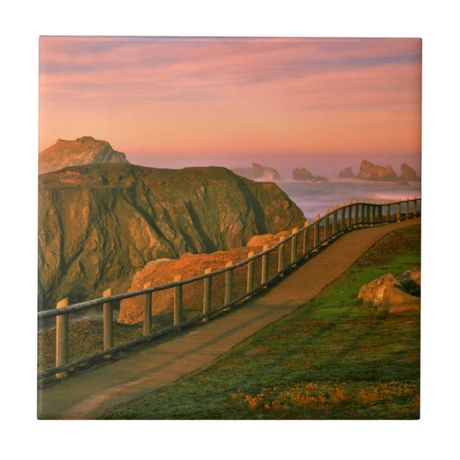 USA, Oregon, Bandon. Rocks Viewed From Trail Tile (Front)