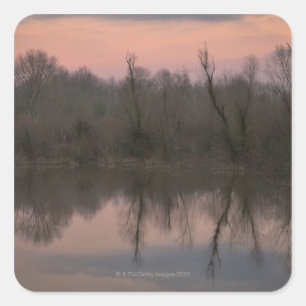 USA, Oregon, Bare trees reflecting in lake at Square Sticker