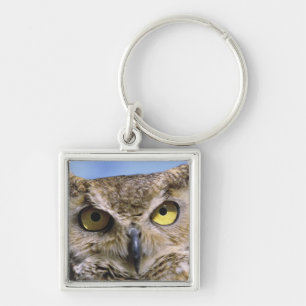 USA, Oregon, Bend. Great Horned Owls are common Keychain