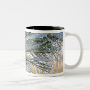USA, Oregon, Bend. Ponderosa pine needles are Two-Tone Coffee Mug