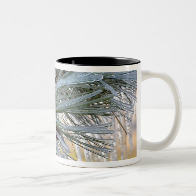 USA, Oregon, Bend. Ponderosa pine needles are Two-Tone Coffee Mug (Right)