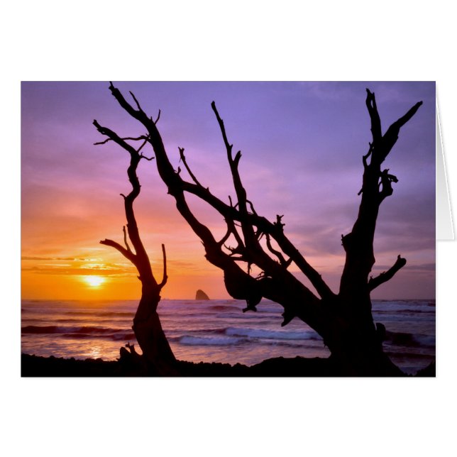 USA, Oregon, Cape Meares. Sunset (Front Horizontal)