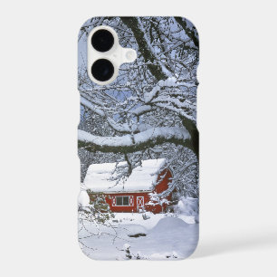 USA, Oregon, Clackamas County. Fresh snow