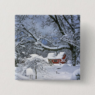 USA, Oregon, Clackamas County. Fresh snow 2 Inch Square Button