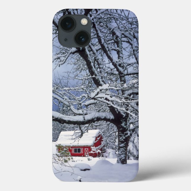 USA, Oregon, Clackamas County. Fresh snow covers (Back)