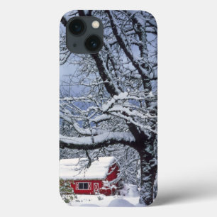 USA, Oregon, Clackamas County. Fresh snow covers