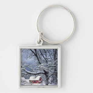 USA, Oregon, Clackamas County. Fresh snow covers Keychain