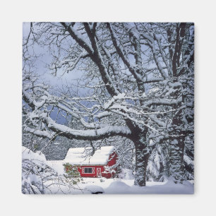USA, Oregon, Clackamas County. Fresh snow covers Magnet